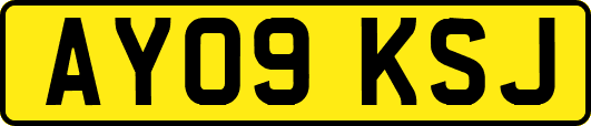 AY09KSJ