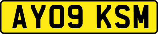 AY09KSM