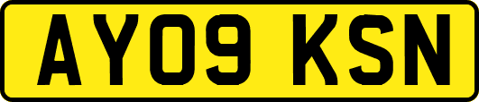 AY09KSN