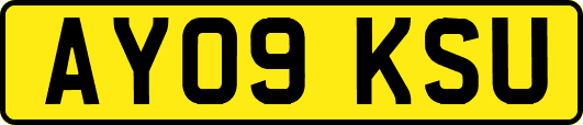 AY09KSU
