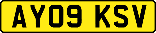 AY09KSV