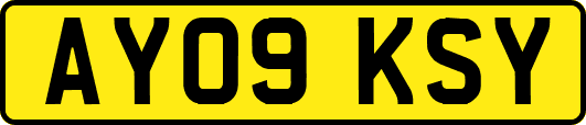 AY09KSY
