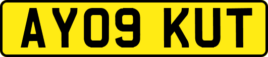 AY09KUT