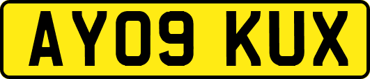 AY09KUX