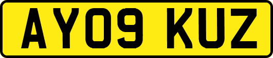 AY09KUZ