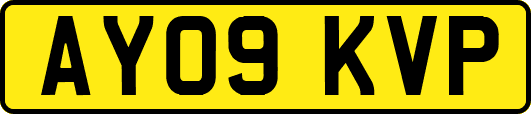 AY09KVP
