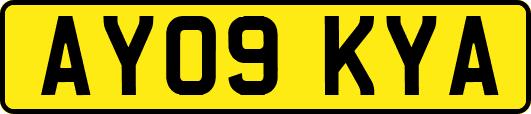 AY09KYA