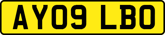 AY09LBO