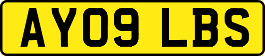 AY09LBS