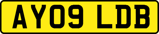 AY09LDB