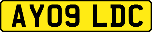 AY09LDC
