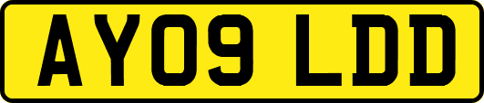 AY09LDD