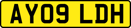 AY09LDH