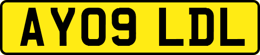 AY09LDL