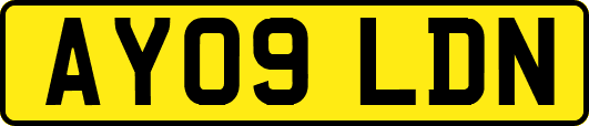 AY09LDN