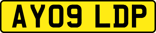AY09LDP