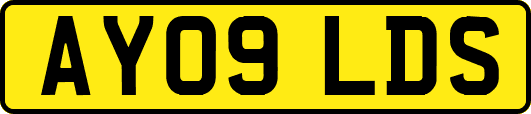 AY09LDS