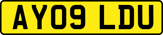 AY09LDU