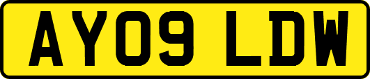 AY09LDW