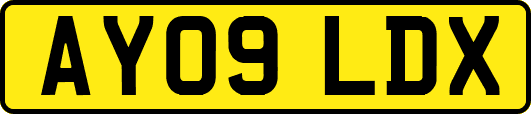 AY09LDX