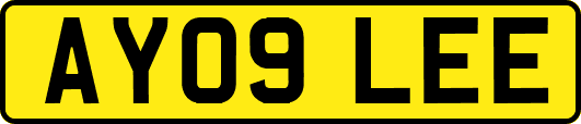 AY09LEE