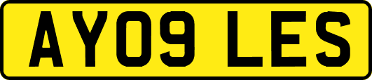 AY09LES