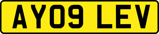 AY09LEV