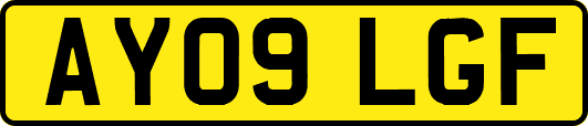 AY09LGF
