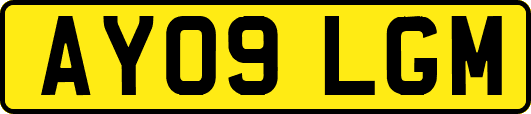 AY09LGM