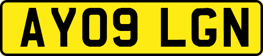 AY09LGN
