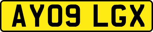 AY09LGX