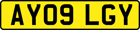 AY09LGY