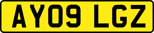 AY09LGZ