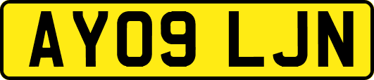 AY09LJN