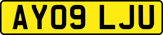 AY09LJU