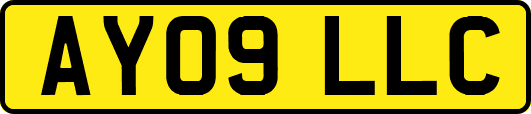 AY09LLC