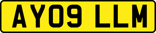 AY09LLM