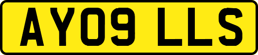 AY09LLS
