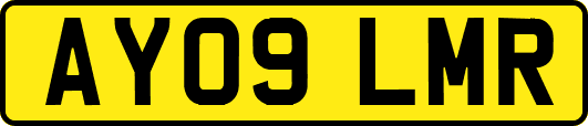 AY09LMR