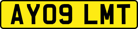 AY09LMT