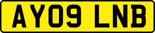 AY09LNB