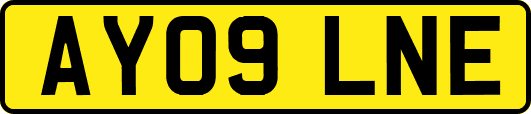 AY09LNE