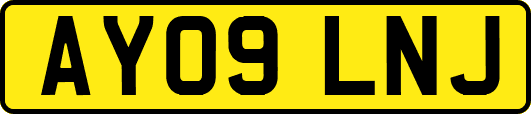 AY09LNJ
