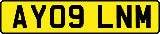AY09LNM