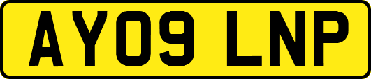 AY09LNP