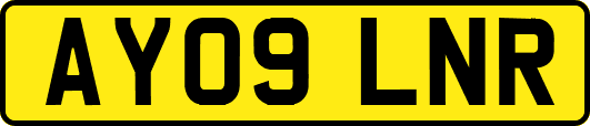 AY09LNR