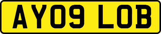 AY09LOB
