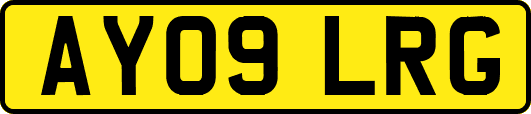 AY09LRG