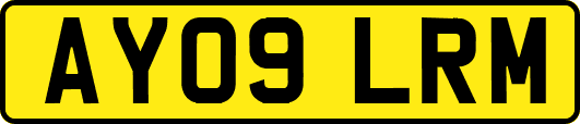 AY09LRM