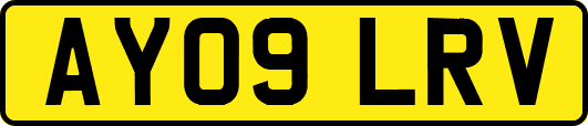 AY09LRV